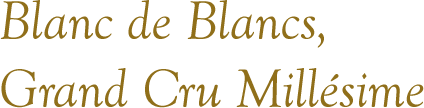 Blanc de Blancs, 
									Grand Cru Millésime